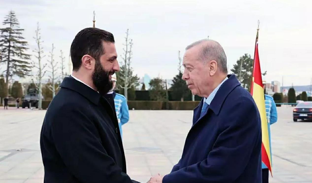 熊猫直播tv-包含经验老将领衔新秀队，共同打造明日之星的词条