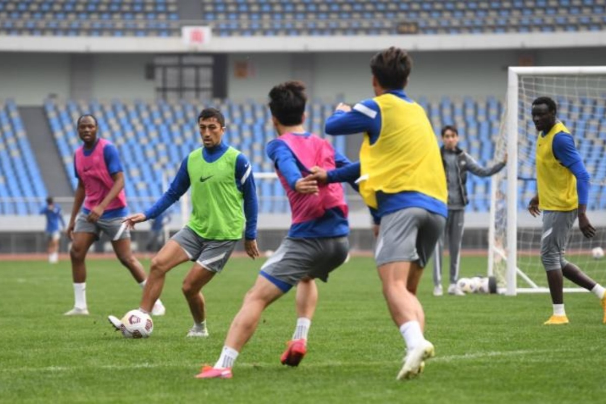 赛场上球员们展现出色表现，引发球迷狂热追捧