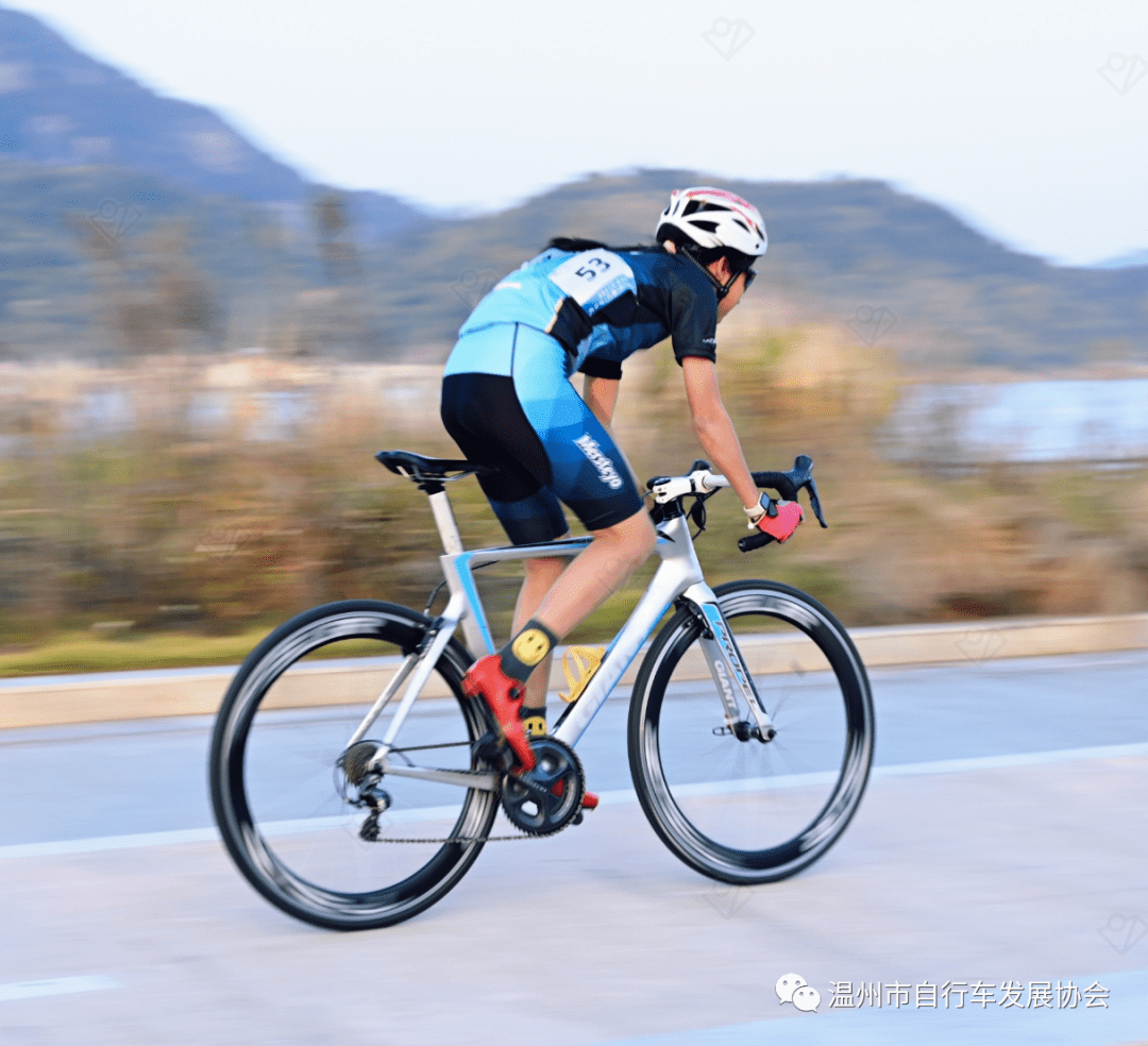 荷兰射箭选手斩获冠军,实力超群 荷兰射箭选手斩获冠军,实力超群
